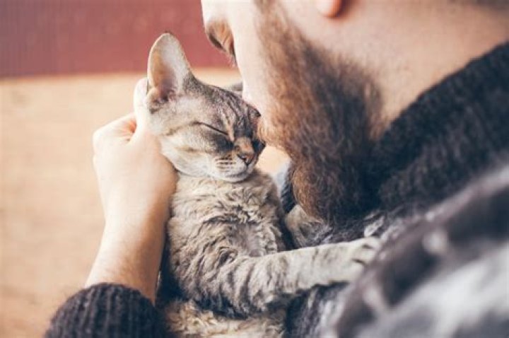 6 Companies That Now Offer "Pawternity Leave" for Pet Parents