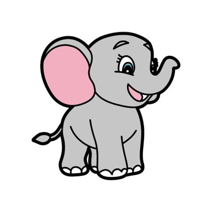 AUTO-DRAFT | Celebrations Press