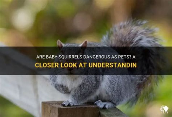 30 Super Adorable Baby Photos of Super Dangerous Animals — Best Life