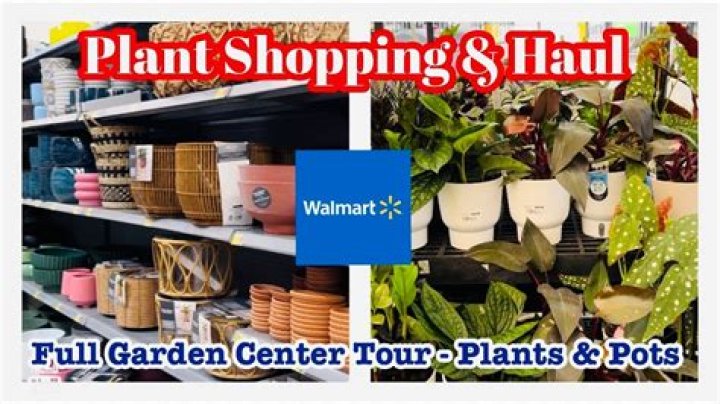 6 Best Things to Buy From Walmart's Garden Center