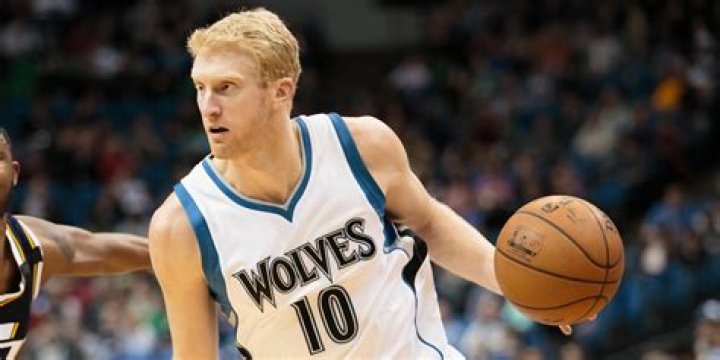 Chase Budinger Bio - salary, net worth, news, bio, career, stats, wife, dunk, contract, family, relationship, wife, girlfriend, married, affair, age, height