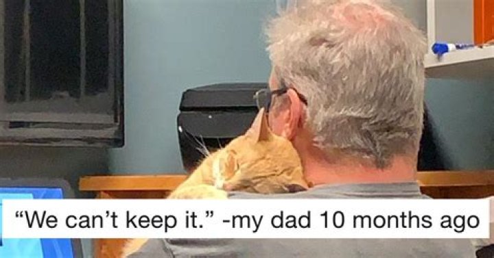 This Viral "Dad Who Didn't Want a Cat" Thread Is Just Too Cute