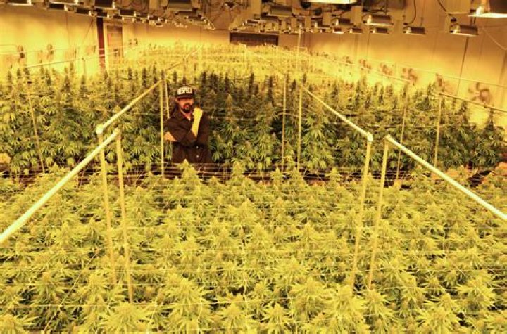 Damian Marley Is Converting A Former Prison Into A Marijuana Grow Space