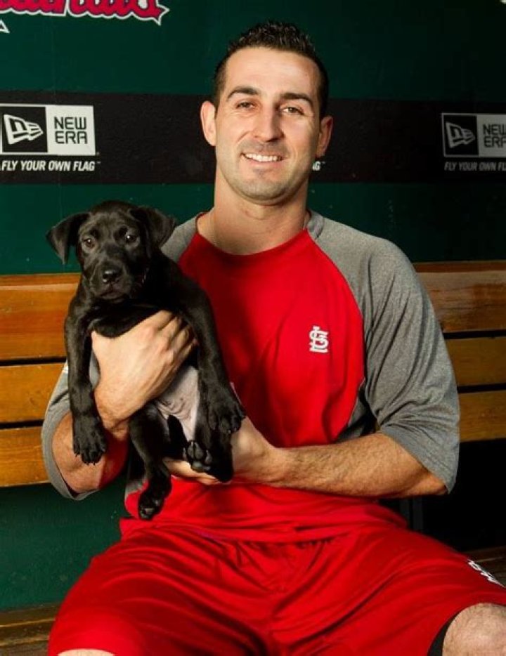 Daniel Descalso Biography- MLB player, salary, stats, contract, net worth, married, relationship, girlfriend, age, affair, height, nationality, family
