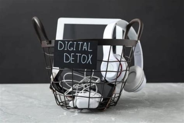 5 Practical Steps to Detox From Your Stressful Digital Life, Experts Say