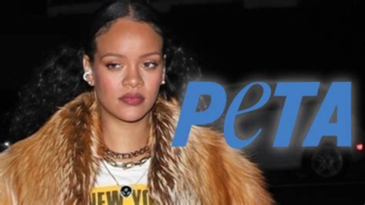 Does Rihanna Wear Real Fur?
