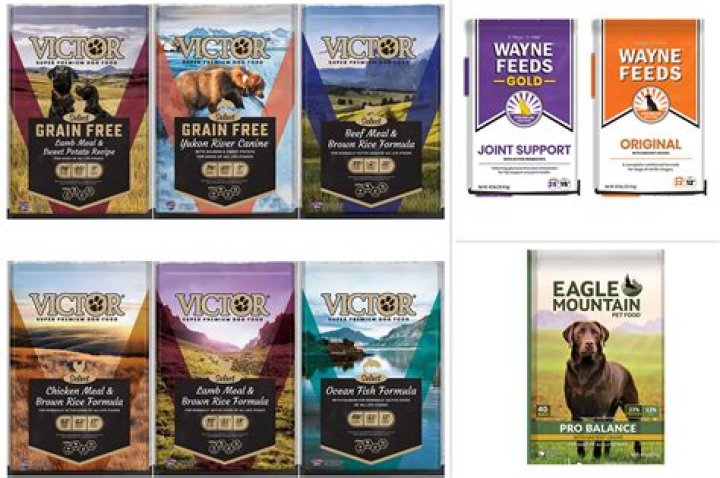 The FDA Just Recalled 21 Popular Dog Foods for This Terrifying Reason