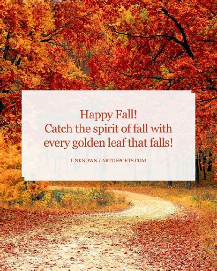 50 Fantastic Fall Quotes - Autumn Quotes