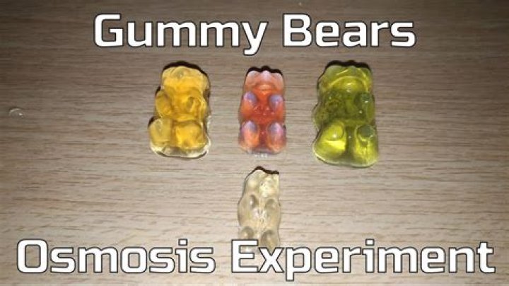 Why One Scientist's Hilarious Obsession With Gummy Bears Is Going Viral