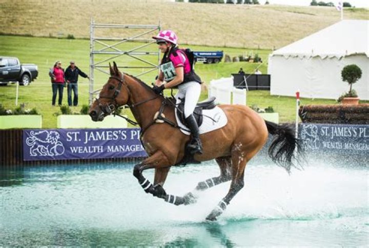 Holly Horton- the former Sportscaster, Where is she Now; Married Life, Husband, Children, salary, Earnings, and Personal Life