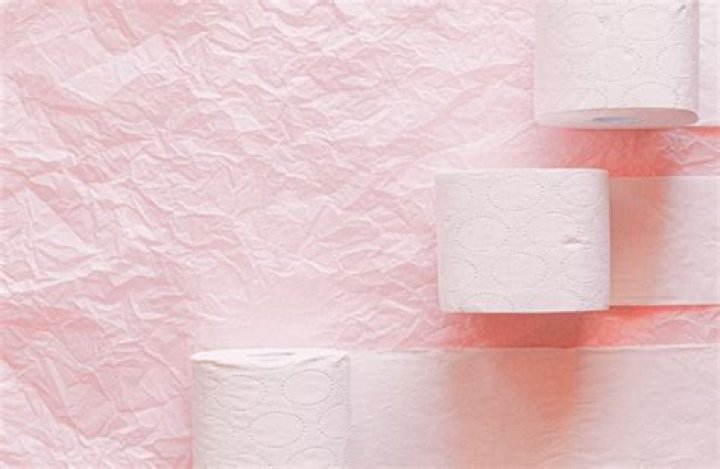 How Did The Kochs Make Their Money?