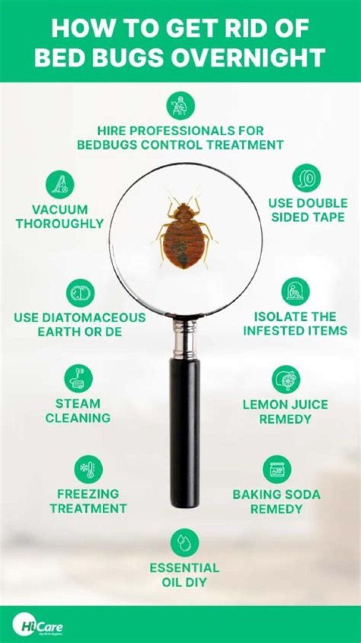 How to Get Rid of Bed Bugs the Easiest Way Possible