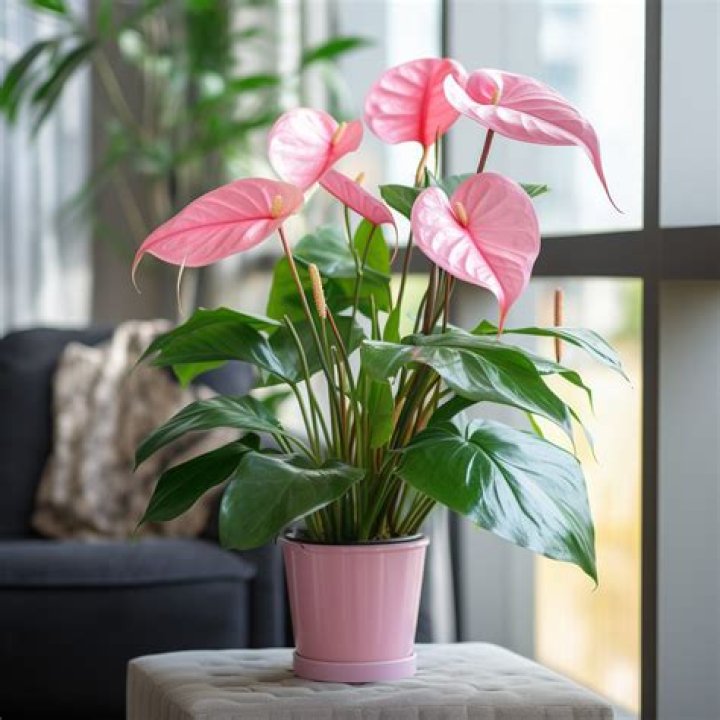 30 Plants You Should Never Bring into Your Home