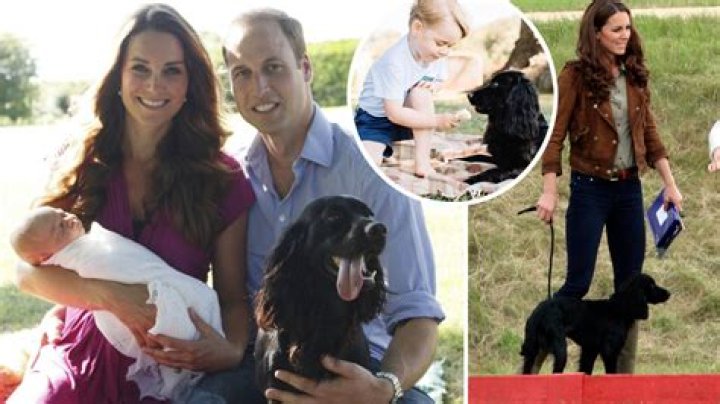 Kate and William Mourn Their Dog in a Heartbreaking Instagram Post