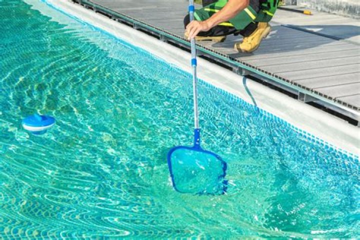 8 Ways to Keep Snakes Out of Your Pool