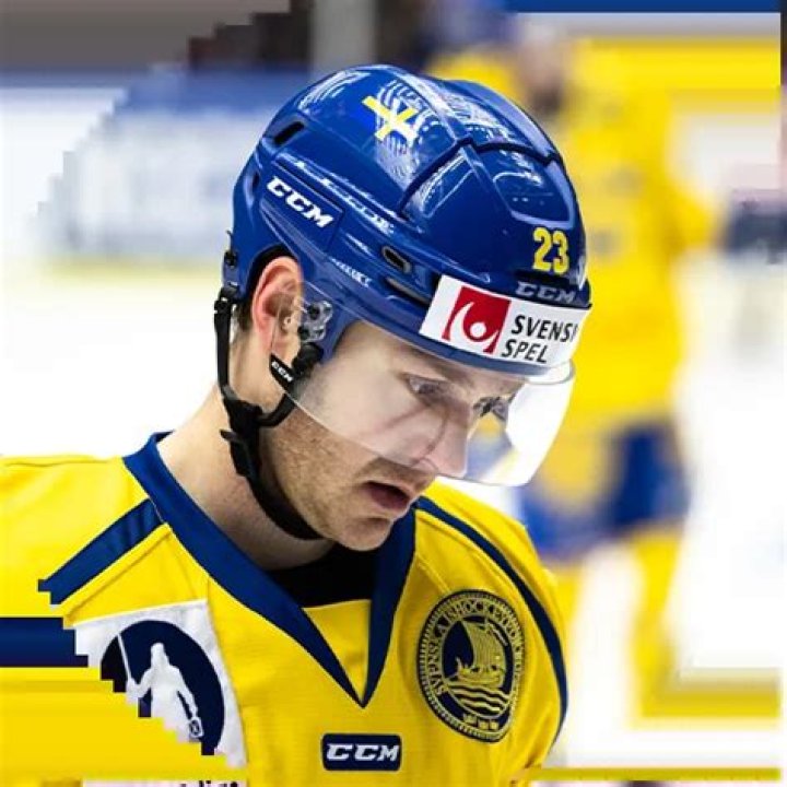 Lucas Wallmark Biography-salary, net worth contract, stats, married, relationship, affair, girlfriend, age, famiyl