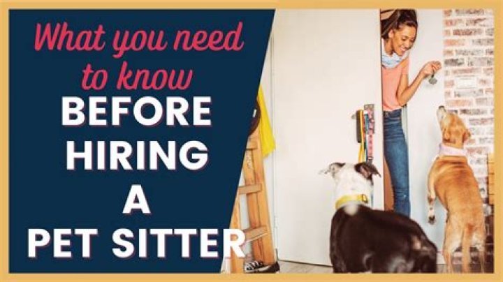 Never Do This When Hiring a Pet Sitter, Experts Say