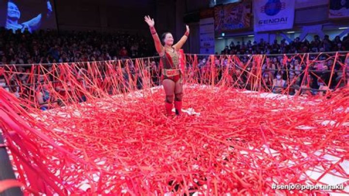 NXT Star Meiko Satomura Salary and Net worth; Who is his Girlfriend?