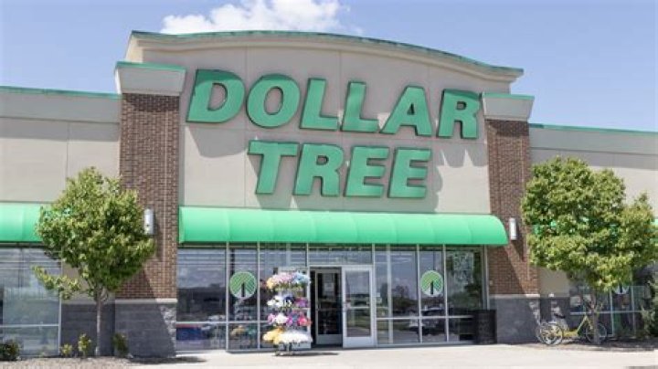 8 Newest "Must-Have" Dollar Tree Items, Shopping Expert Reveals