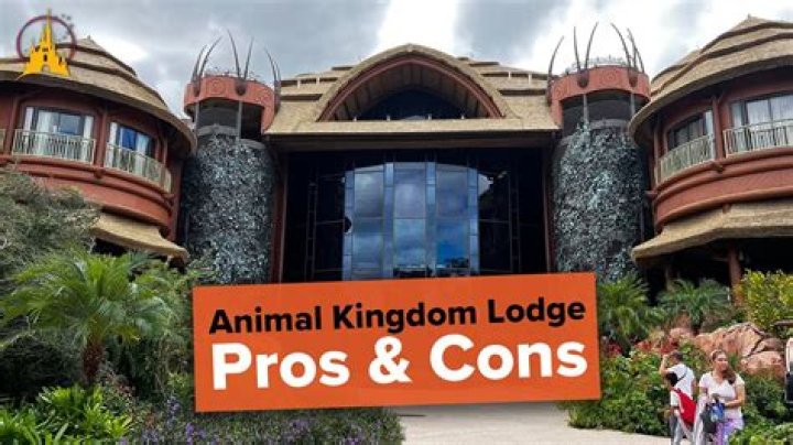 My Favorite Holiday Experience At Animal Kingdom