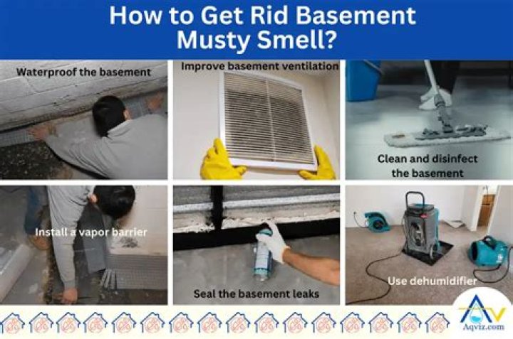 The No. 1 Sign There's a Snake in Your Basement