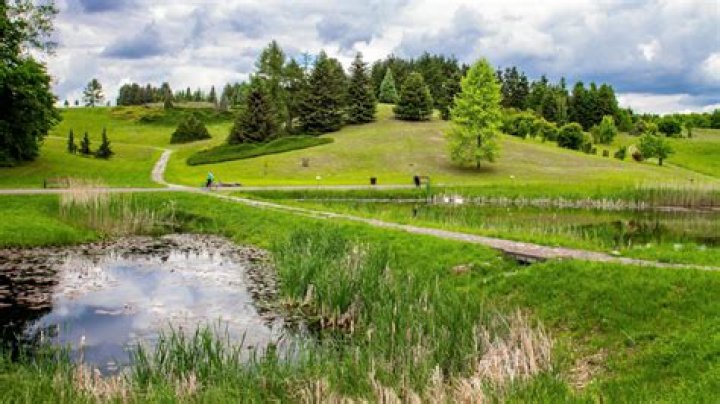 Niedosyt Height, Weight, Age, Boyfriend, Facts, Biography