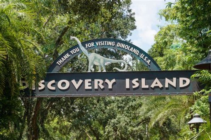 Nine Facts About Discovery Island