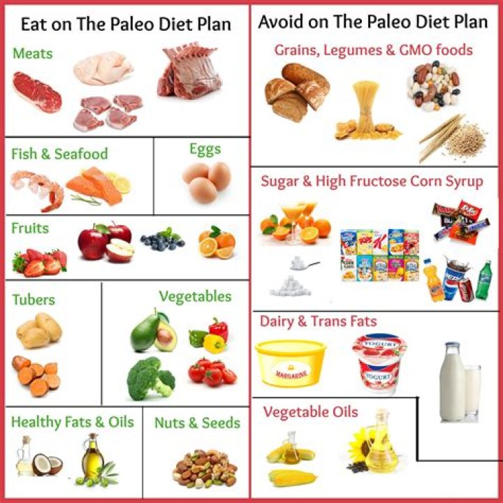 Paleo Diet Plan – Attain Sought-After Body Just in Thirty Days