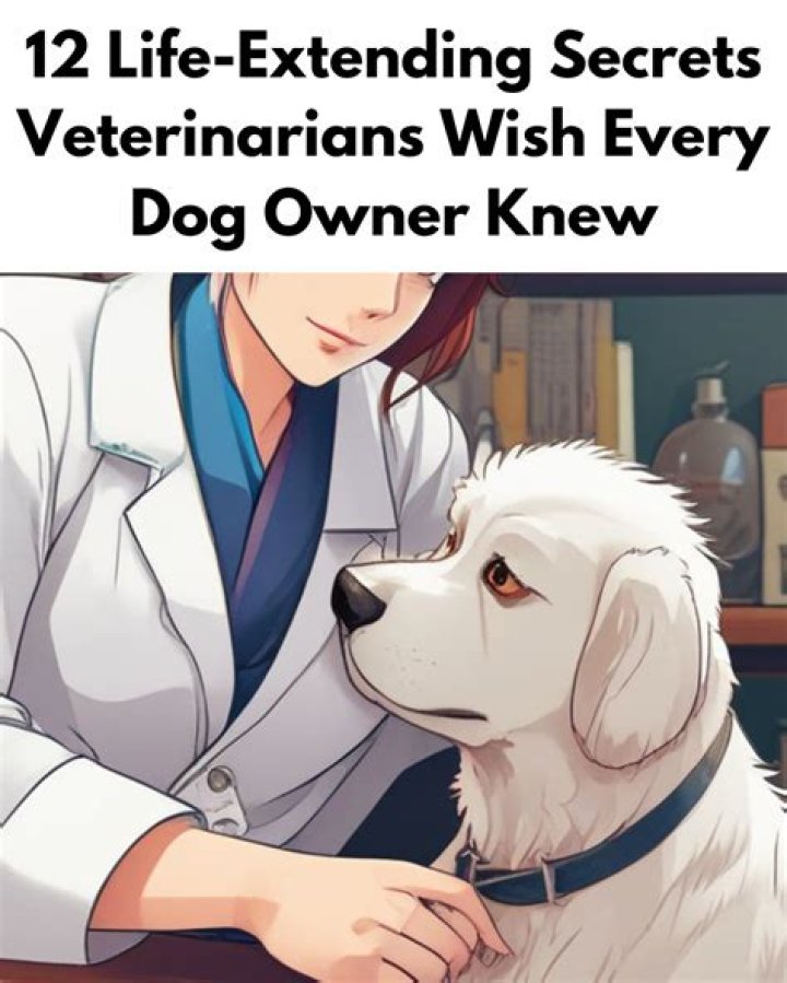 6 Secrets Veterinarians Aren't Telling You About Your Dog