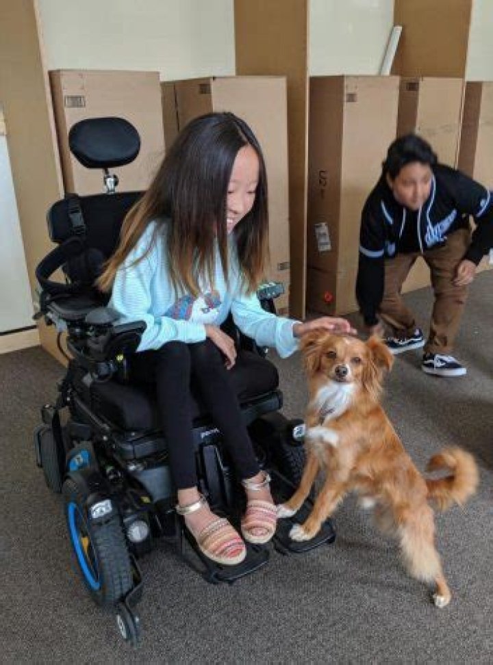Sophie Jaewon Kim | Amara, The Healing Powers Of Dude, Netflix, Wheelchair, Jace Chapman, Noah Ferris