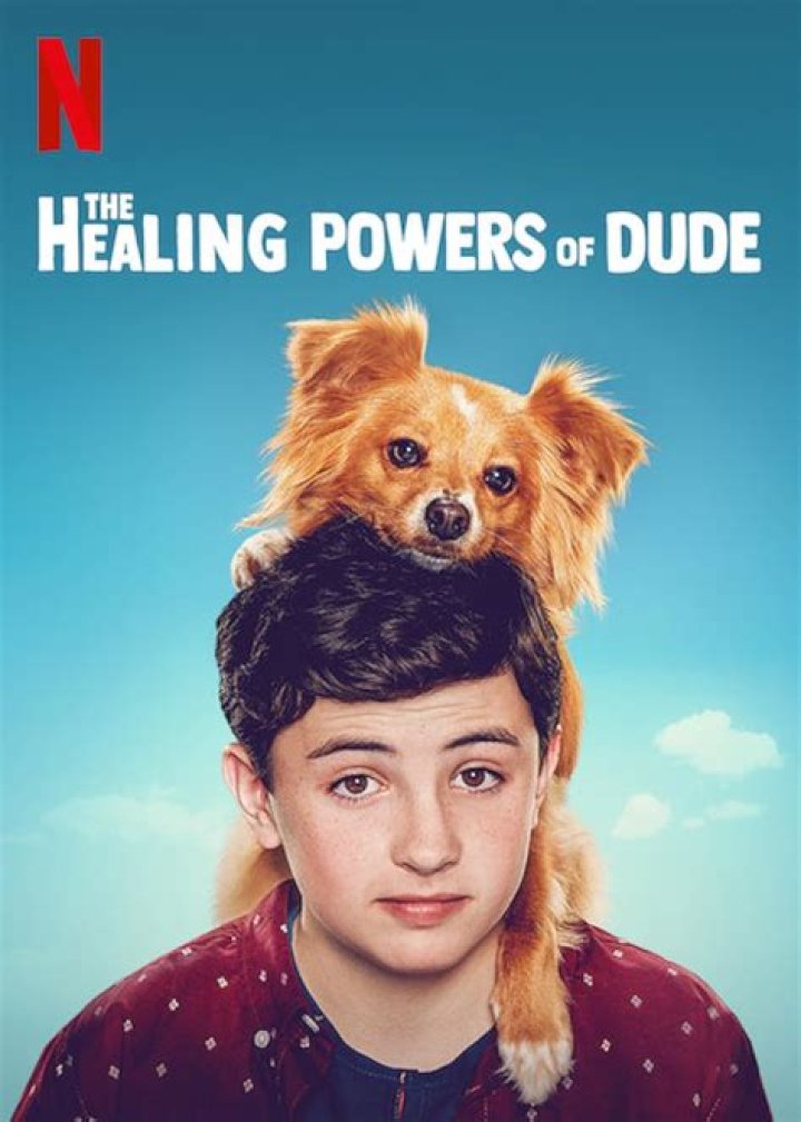 The Healing Powers Of Dude Season 2 On Netflix – What Can We Expect?