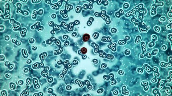 What Happens If You Drink Out of the Same Water Glass for a Week, According to Doctors