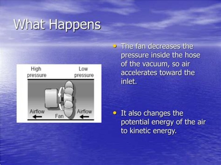 What Happens If You Don't Vacuum for a Month, According to Experts