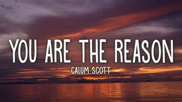 Who Is Calum Scott's 'You Are The Reason' About?