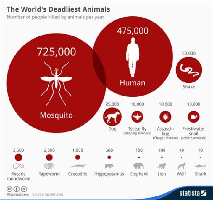The 30 Deadliest Animals on Planet Earth — Best Life